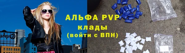 стаф Покачи