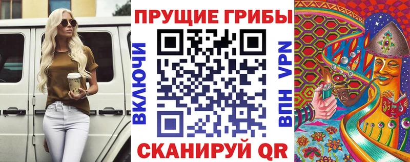 Купить  Полысаево  Галлюциногенные грибы Psilocybe 